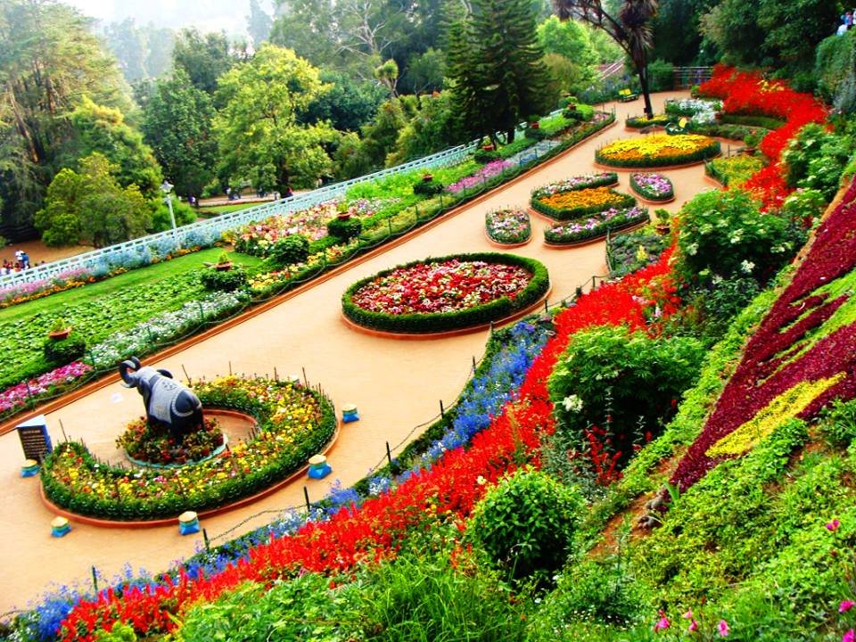 Ooty Holiday Package